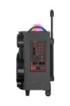 HAUT-PARLEUR NDR-M081 avec éclairage disco
