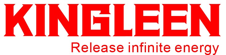 Logo KINGLEEN