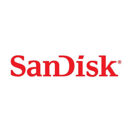 Logo SANDISK
